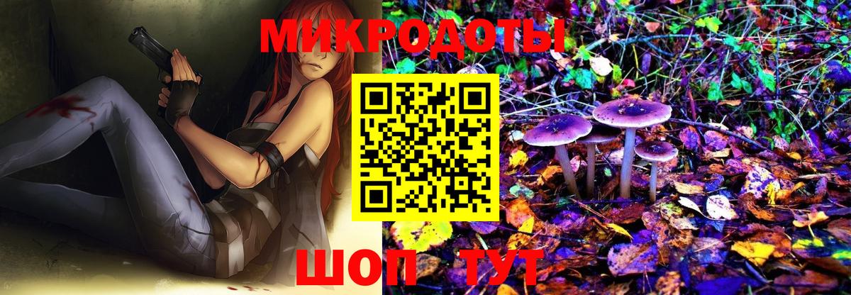Псилоцибиновые грибы Psilocybine cubensis Шебекино
