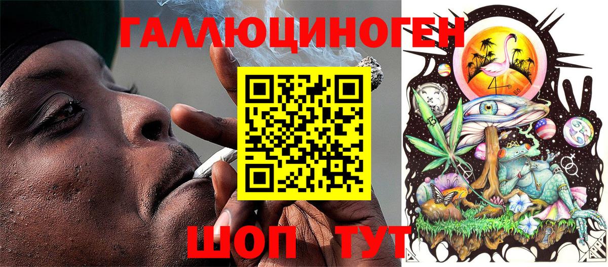Галлюциногенные грибы GOLDEN TEACHER  Псилоцибиновые грибы Psilocybine cubensis  Шебекино  купить наркоту  Вход с VPN 